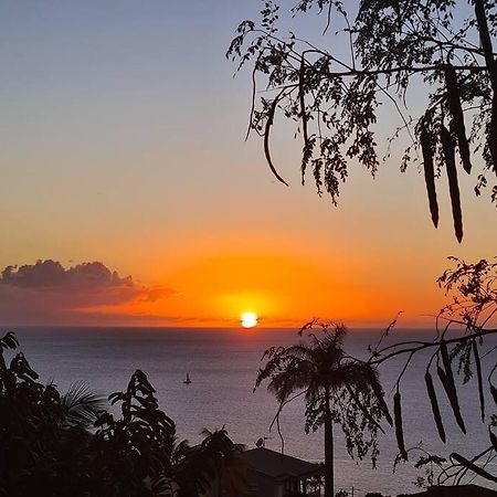 Ti Sucrier Jaune - Douceur Caraibe Vue Mer Le Carbet Exteriör bild