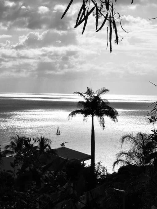 Ti Sucrier Jaune - Douceur Caraibe Vue Mer Le Carbet Exteriör bild