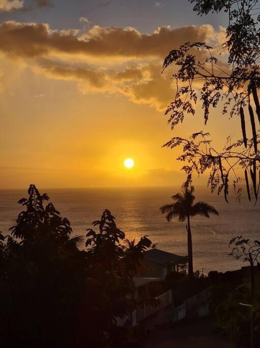 Ti Sucrier Jaune - Douceur Caraibe Vue Mer Le Carbet Exteriör bild
