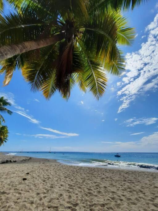 Ti Sucrier Jaune - Douceur Caraibe Vue Mer Le Carbet Exteriör bild