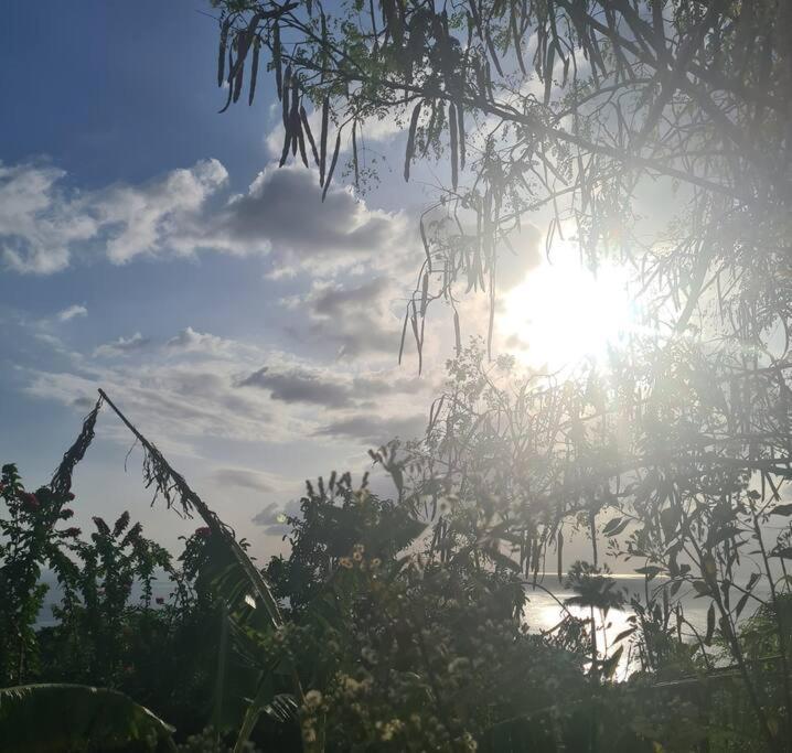 Ti Sucrier Jaune - Douceur Caraibe Vue Mer Le Carbet Exteriör bild