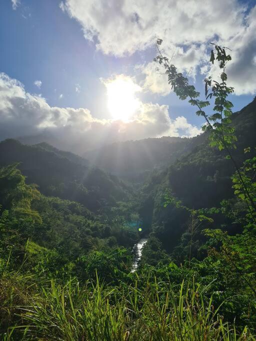 Ti Sucrier Jaune - Douceur Caraibe Vue Mer Le Carbet Exteriör bild