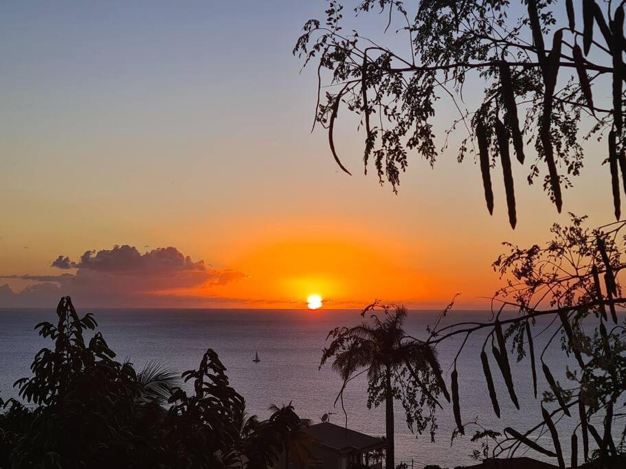 Ti Sucrier Jaune - Douceur Caraibe Vue Mer Le Carbet Exteriör bild