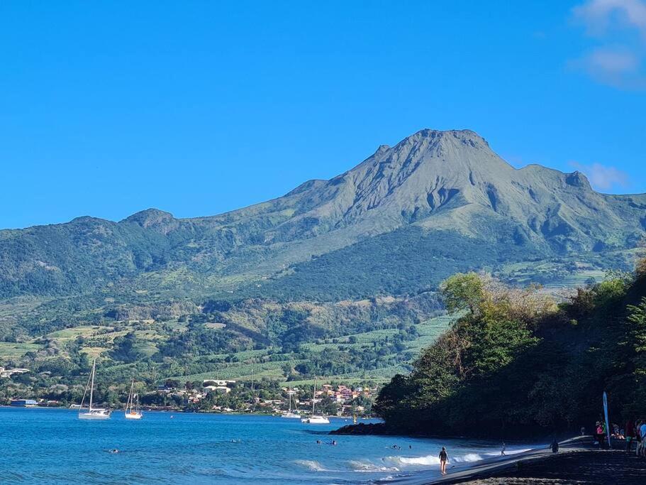Ti Sucrier Jaune - Douceur Caraibe Vue Mer Le Carbet Exteriör bild
