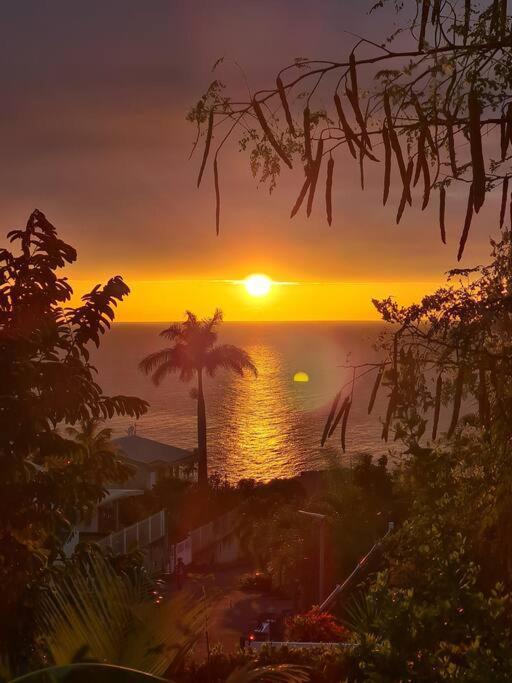 Ti Sucrier Jaune - Douceur Caraibe Vue Mer Le Carbet Exteriör bild
