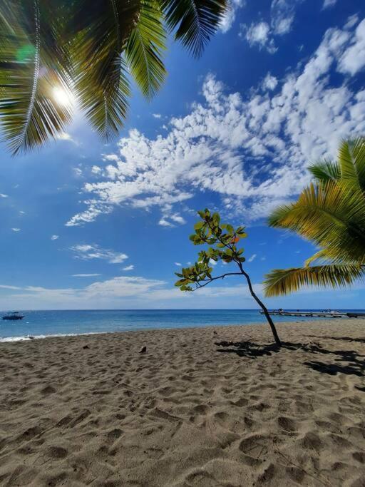 Ti Sucrier Jaune - Douceur Caraibe Vue Mer Le Carbet Exteriör bild